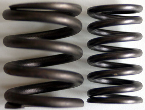 Performance Valve Springs, complete set	24615075