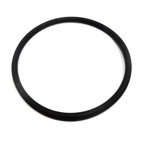 Crankshaft O Ring	100055