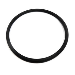 Crankshaft O Ring	100055