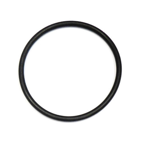 Brake Vacuum Pump O Ring	101025