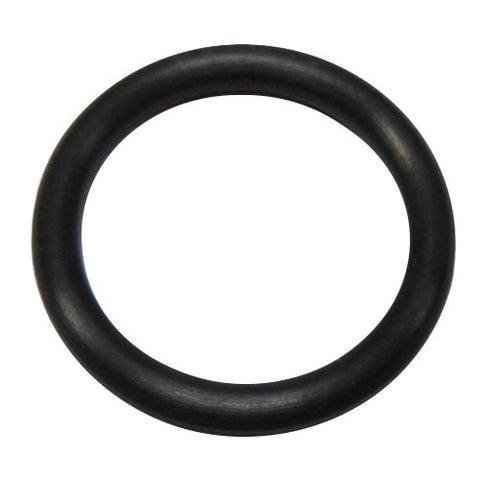 Cam Pulley O Ring	101031