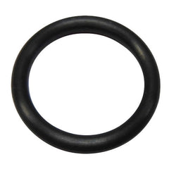 Cam Pulley O Ring	101031