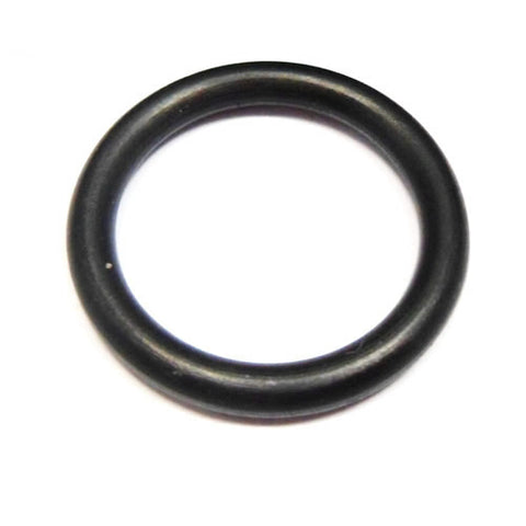 Oil Pump O Ring	101032