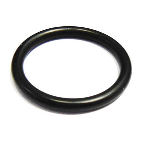 Gearbox Oil Filter 'O' Ring	101033