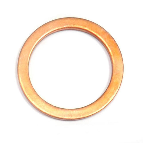 Oil Pump Washer	10257460