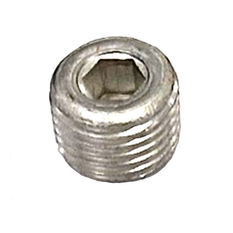 Threaded Plug	10269550