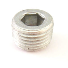 Core Plug	10269650