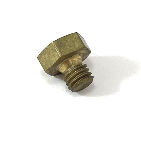 Thermostat Housing Plug	10300240