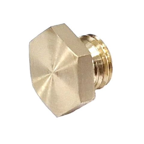 Delivery Pipe Plug	10300540