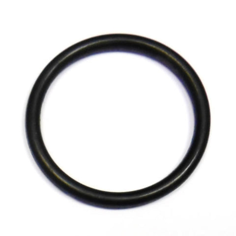 Crankcase O Ring	103020