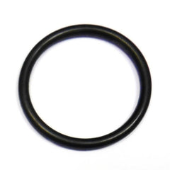 Crankcase O Ring	103020