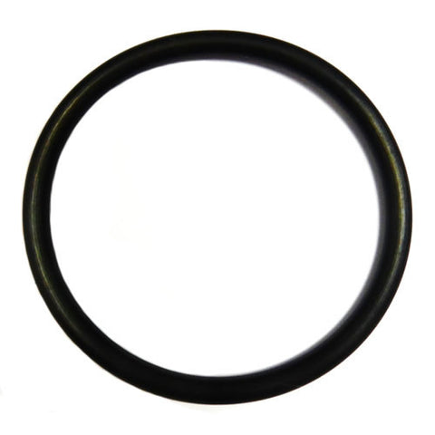 Flywheel O'Ring	103021