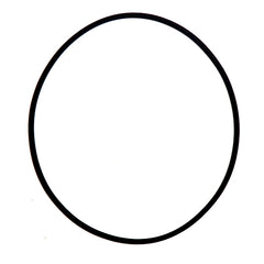 Liner 'O' Ring, each	107940