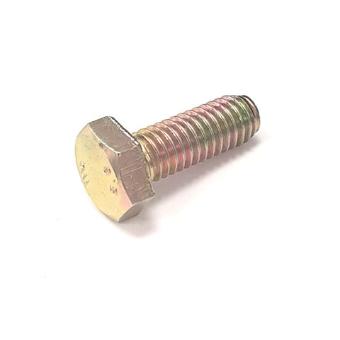 Fuel Pump Fixing Bolt	10902221