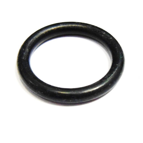 Main Shaft O Ring	109724