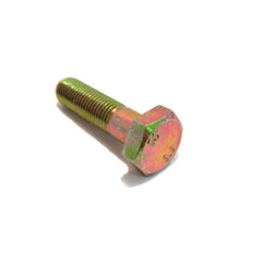 Cam Belt Tensioner Pulley Bolt	11307024