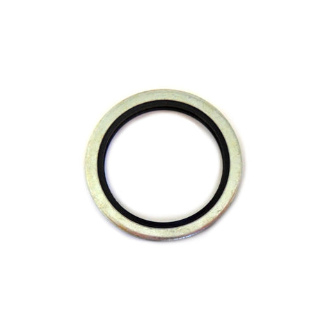 Fuel Tank Filter Seal	117884