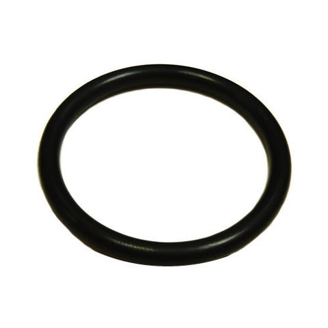 Locating Dowel O Ring	123263