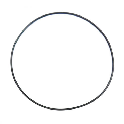 Fuel Pump O Ring	138453