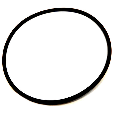 Throttle Body O'Ring	142934