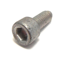Door Lock Striker Screw	14305724