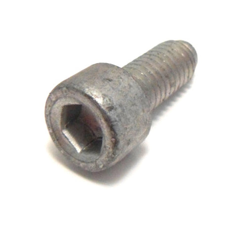 Timing Chain Tensioner Screw	14305724