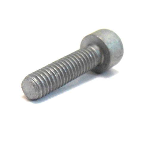 Clutch Bearing Support Screw	14358524