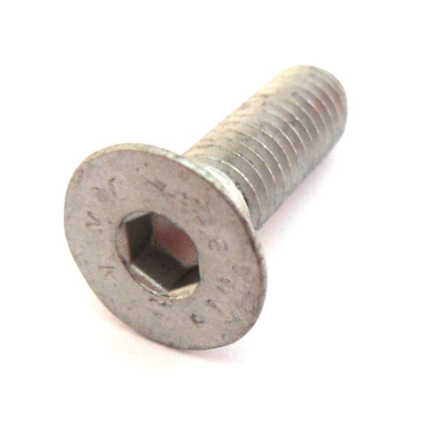 Accelerator Pedal Mounting Plate Screw	14441434