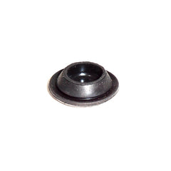 Plug	14506687
