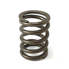 Outer Valve Spring	149888