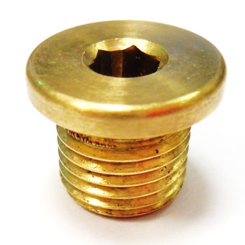 Crankcase Drain Plug	150731