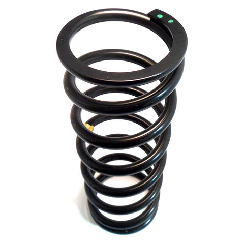 Rear Suspension Spring	156945