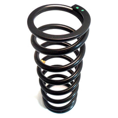 Rear Suspension Spring	156945