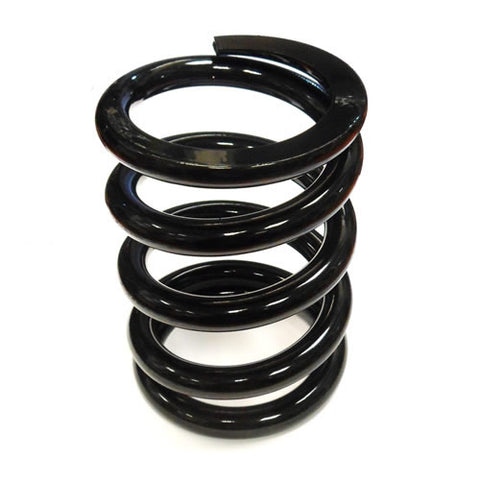 Rear Race Spring	164791