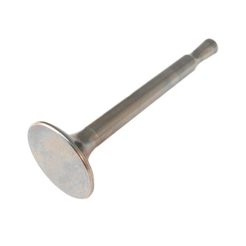 Exhaust Valve	16676