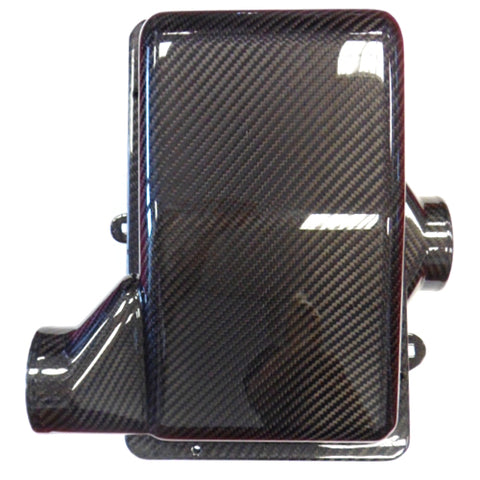 Carbon Fibre Air Box	168966C