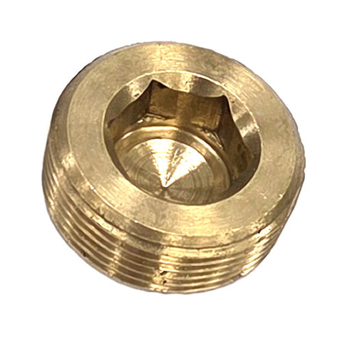 Crankshaft Threaded Plug	176396