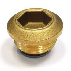 Differential Housing Drain Plug	183962