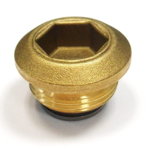 Differential Housing Drain Plug	183962