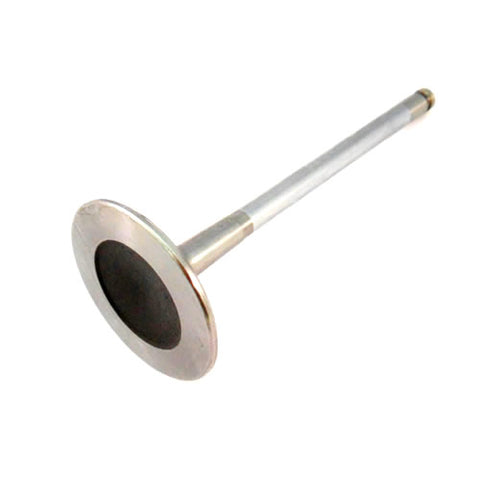 Inlet Valve	198581