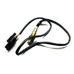 Front Lambda Feeler	199612
