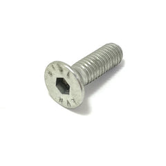 Door Lock Striker Screw	20287504