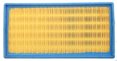 Air Filter	118006