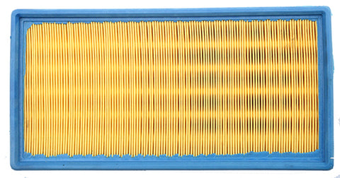 Air Filter	118006