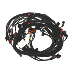 Engine Injection Wiring Harness	209652
