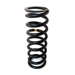 Front Spring	216381