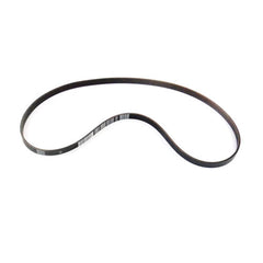 Alternator Belt	219847