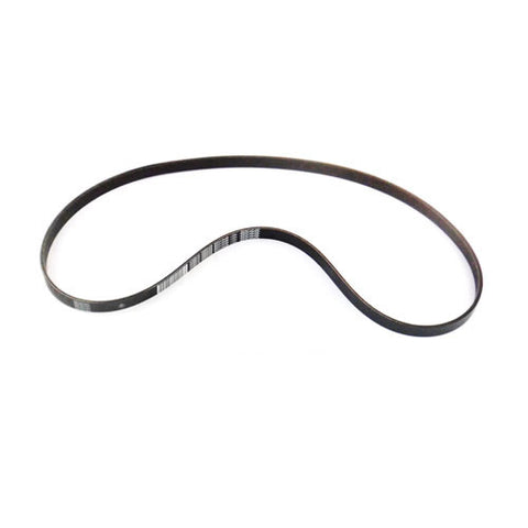 Alternator Belt	219847