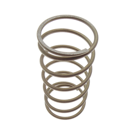 Oil Filter Housing Spring	22915