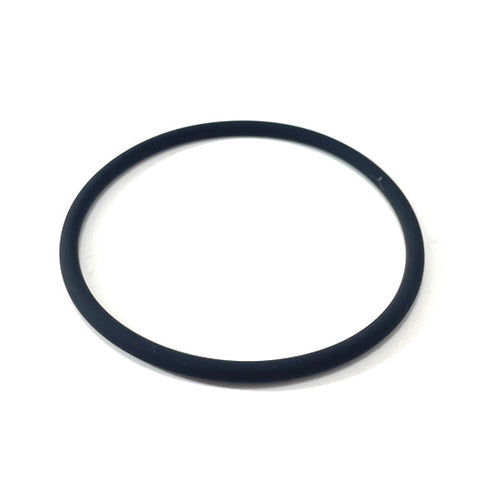 Fuel Tank O Ring	239413